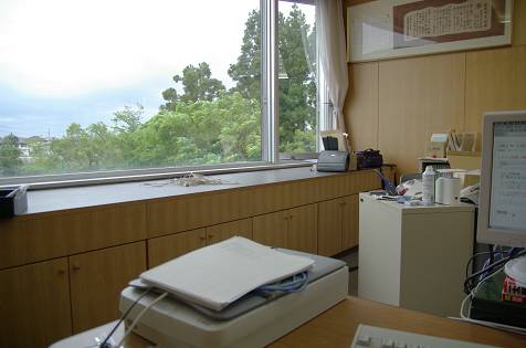 480_simgp3854