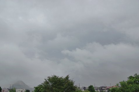 Photo_2