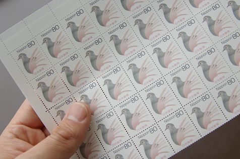 480_simgp0537